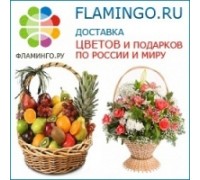 Логотип: Фламинго.ру