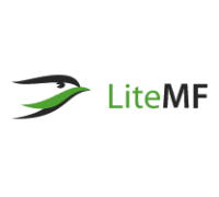 Логотип: Litemf