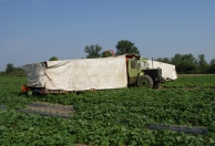 53526a118714648