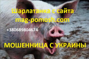 d181d0b0d0b9d182d0b0-mag-pomosh