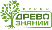 Древо знаний