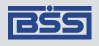 BSS, Компания