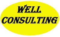 Well consulting