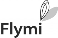 Дизайн студия Flymi
