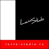 Школа аэрографии Levin Studio