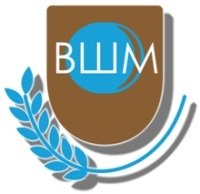 Высшая школа менеджмента СГЭУ (ВШМ СГЭУ)