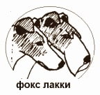 Школа груминга Татьяны Богачевой