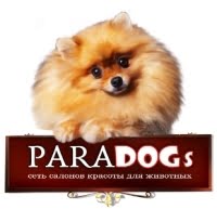 Paradogs, школа груминга