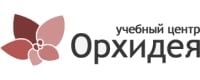 Орхидея Орхидея