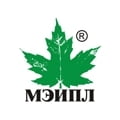 Мэйпл