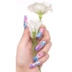 Сократовец, НОУ НПО ПУ