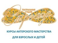 Стрекоза, театральная студия