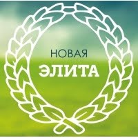 Новая элита, бизнес-школа
