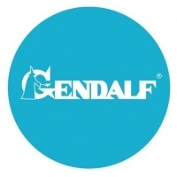 ГЭНДАЛЬФ, ГК