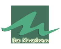 Все Малевичи, школа рисования