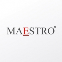 Школа бизнеса Маэстро