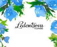 Ledentsova wedding agency