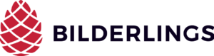 bilderlings отзывы