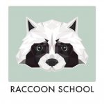 Raccoon English School