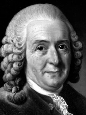 ujgx7hwgyslb-karl-linnei.jpg