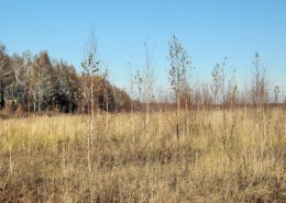 Как продать необработанную землю с помощью финансирования собственника?