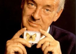 Какую игру с помощью инструкции осваивал герой Набокова?