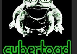 Что означает держи кибер жабу?