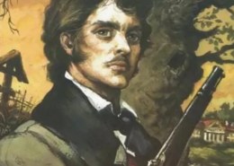 В чём причина поражения Владимира Дубровского?