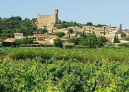 Рядом с каким французским городом находится винодельческая коммуна Шатонёф-дю-Пап?