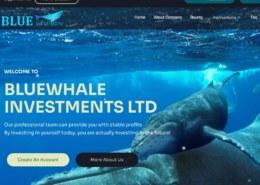 Bluewhaleinv.com — какие отзывы, платит или лохотрон?