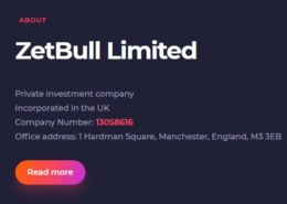 Zetbull.com — какие отзывы, платит или лохотрон?