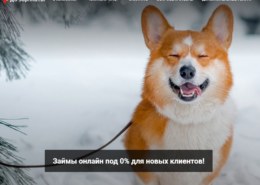 Онлайн займы dozarplati.com — какие отзывы?