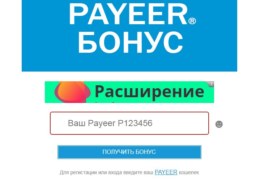 Rurbonus.ru — какие отзывы, платит или лохотрон?