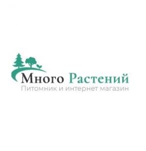 Питомник Много Растений отзывы