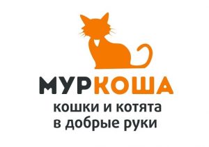 «Муркоша» частный приют для кошек отзывы