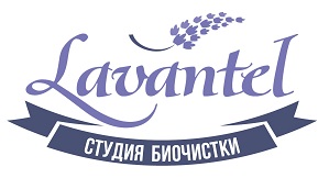 Франшиза Lavantel отзывы