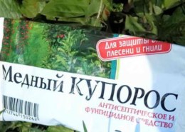 Как правильно приготовить раствор медного купороса (3 и 5 процентной концентрации)?