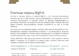 bigpoll.ru-что за сайт, он платит или нет, какие отзывы?